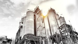 Regal Petrochemical: Progress, Challenges, and Future Outlook